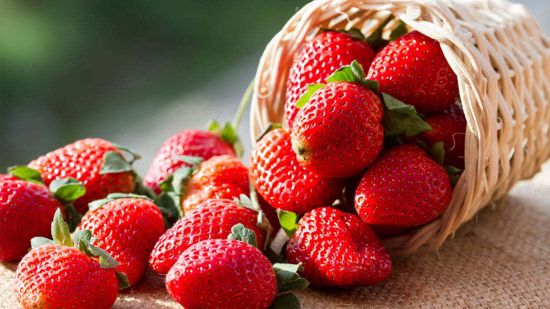 gesunde Erdbeeren in einem Korb